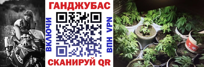 сайты даркнета как зайти  blacksprut ссылки  Бошки Шишки Amnesia  Новоузенск  магазин   